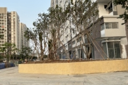 Đơn vị chuyên thi công cây xanh khu công nghiệp tại TPHCM