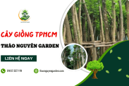 Địa chỉ mua cây giống TPHCM uy tín, giá tốt – Thảo Nguyên Garden