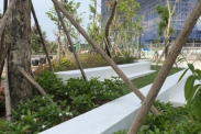 Đơn vị dịch vụ chăm sóc cây xanh chuyên nghiệp hàng đầu TpHCM