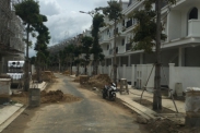 Dịch vụ chăm sóc cây xanh đang phổ biến ở TpHCM