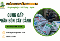 Cung cấp phân bón cây cảnh TPHCM giá tốt, chất lượng