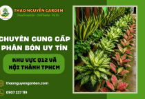 Mua bán phân bón Q12 uy tín, giá rẻ | Thảo Nguyên Garden 