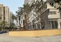 Đơn vị chuyên thi công cây xanh khu công nghiệp tại TPHCM