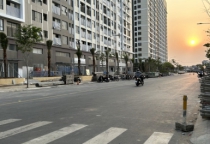 Tại sao nên chọn đơn vị cung cấp cây cảnh của CÔNG TY TNHH CẢNH QUAN THẢO NGUYÊN GARDEN?