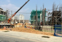 Dự Án Cây Xanh VSip