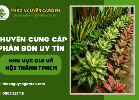 TƯ VẤN CHỈNH SỬA- NÂNG CẤP
