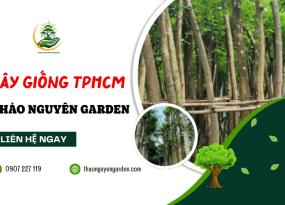  TƯ VẤN CHỈNH SỬA- NÂNG CẤP
