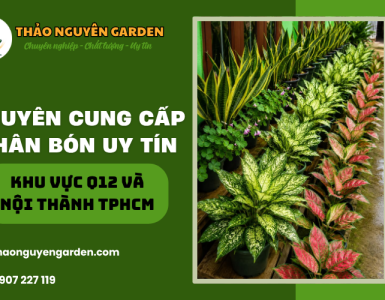 Mua bán phân bón Q12 uy tín, giá rẻ | Thảo Nguyên Garden 