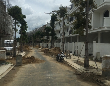 Dịch vụ chăm sóc cây xanh đang phổ biến ở TpHCM