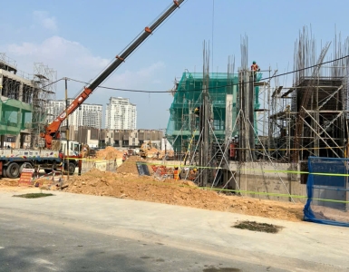 Dự Án Cây Xanh VSip