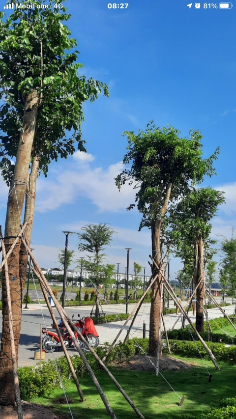 DỰ ÁN VSIP 2