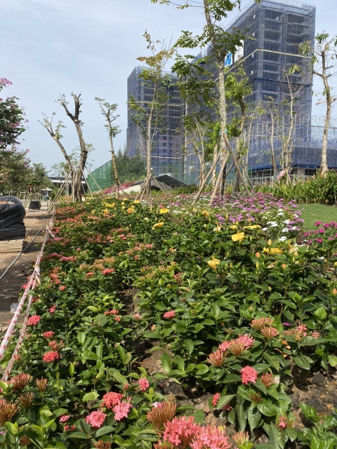 DỰ ÁN TẬP ĐOÀN PICITY