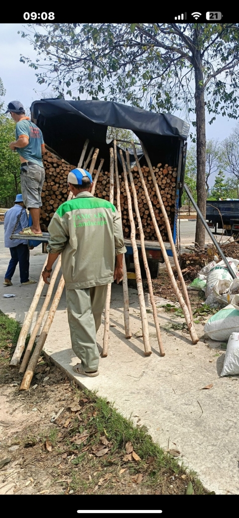 DỰ ÁN CÔNG TY QUẢN LÝ TÀI SẢN TAMCARI