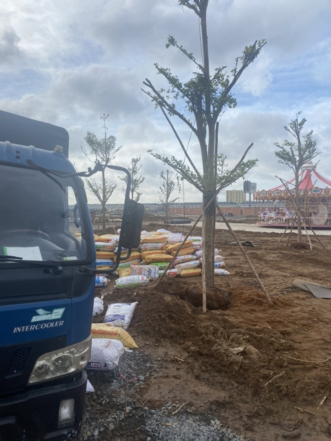 DỰ ÁN CÔNG TY GREEN FIELD