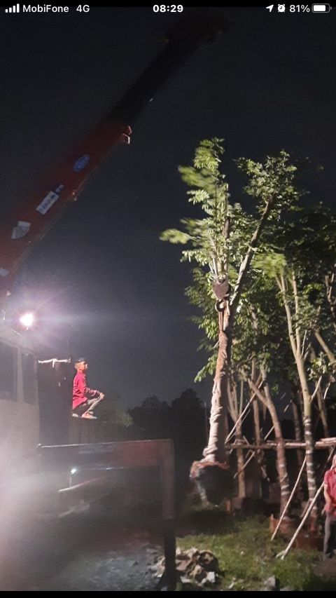 DỰ ÁN LAVINIA REVERSIDE VŨNG TÀU