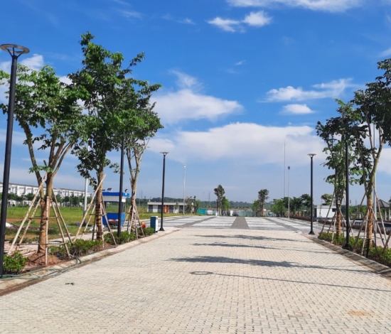 Cung cấp cây xanh