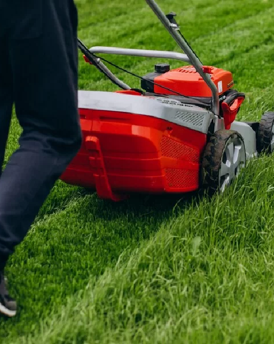 Dịch vụ cắt cỏ – Giải pháp tối ưu cho cảnh quan đô thị