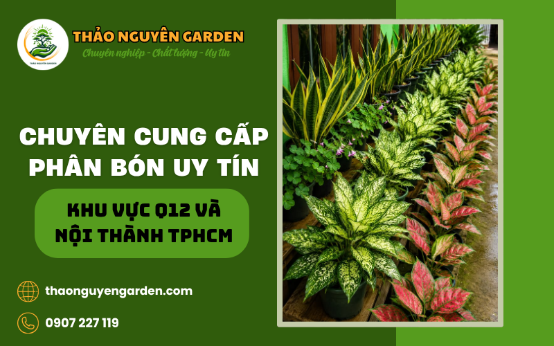 Mua bán phân bón cây cảnh Q12