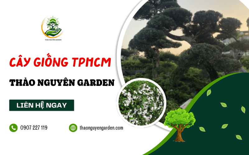mua cây giống TPHCM