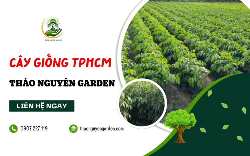 mua cây giống TPHCM