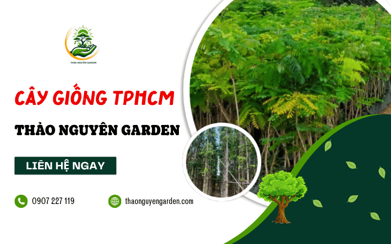 mua cây giống TPHCM