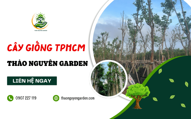 cây giống TPHCM