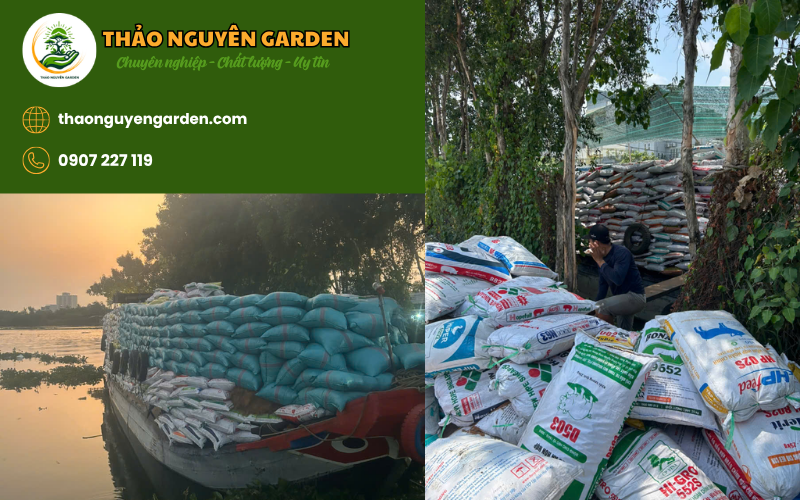 Mua bán phân bón cây cảnh Q12