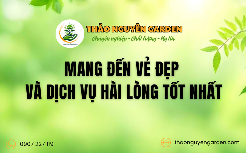 Mua bán phân bón cây cảnh Q12